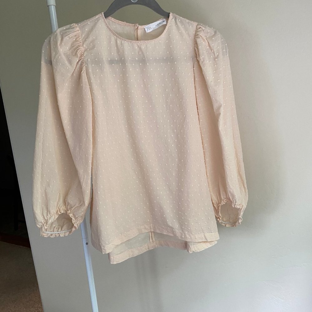 Zara Blush Pink Swiss Dot Puffed Sleeve Blouse